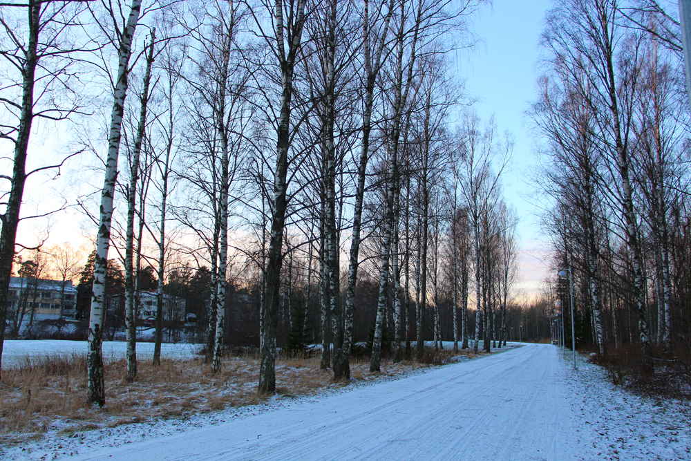 ヘルシンキ冬景色Munkkiniemi画像