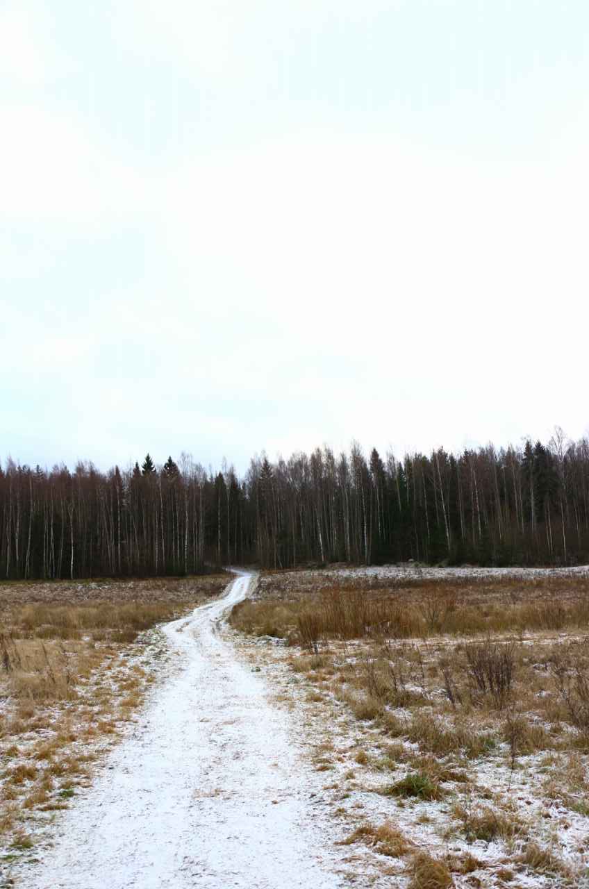 夏と１８０度変わるフィンランドの冬の森 キートスショップ
