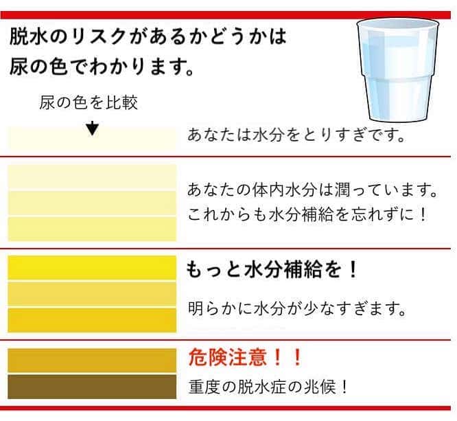 黄色 おしっこ が