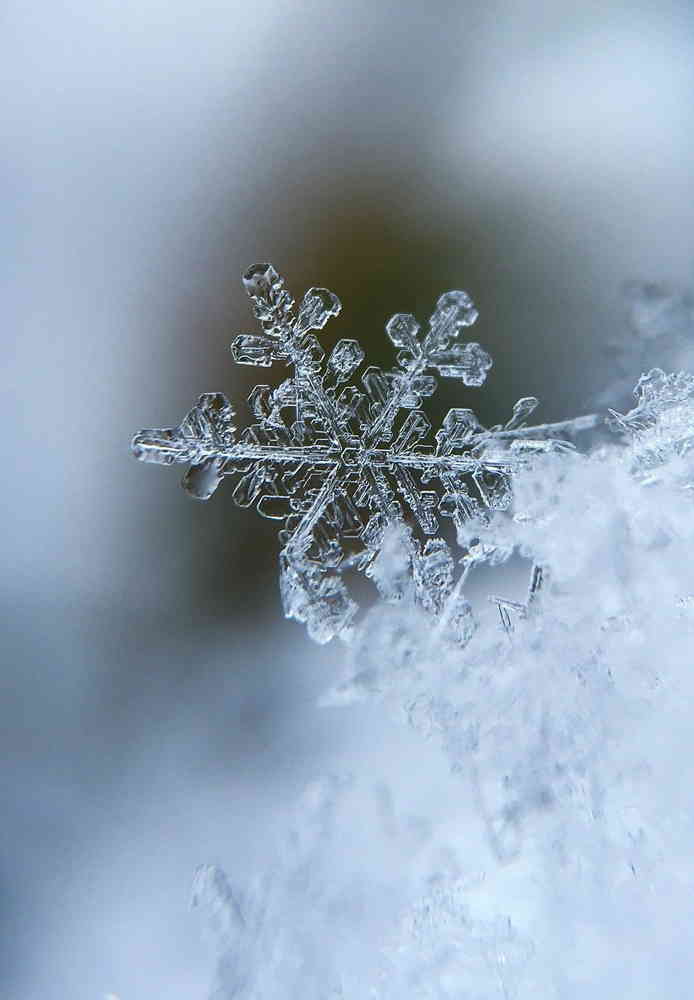 フィンランド語の不思議 雪 氷にまつわる単語が５８個もある キートスショップ